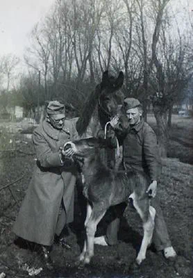 Kapitein Barkmeijer en soldaat Westerdijk - III-14 R.A. Dubbeldam Mobilisatie