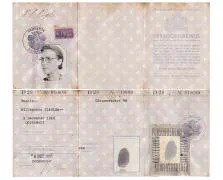 Het persoonsbewijs van de in Dordrecht geboren Mevr. Hillegonda Clasina Engels.