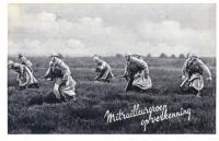 Veldpostkaart - Mitrailleurgroep op verkenning - 25 februari 1940 thumbnail