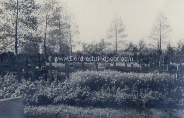  Duitse Parachutistengraven op de Algemene Begraafplaats in Dordrecht image