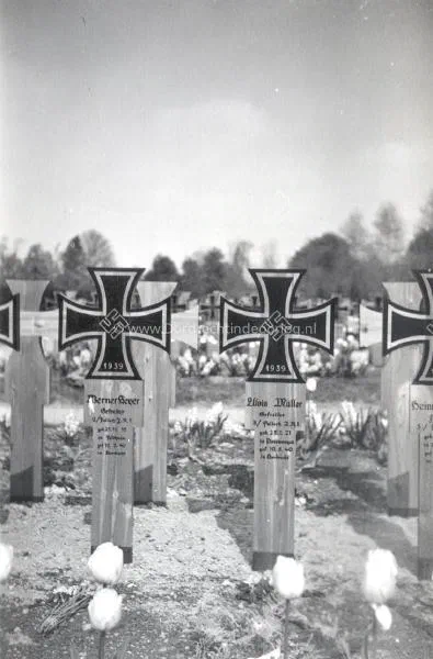  Opname van twee Duitse parachutistengraven op de begraafplaats in Dordrecht K22 image