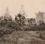 64. Duitse muzikanten spelen muziek tijdens de parade in juni 1940 tegenover het Station in Dordrecht 402 thumbnail
