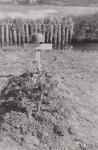 33. Het veldgraf van parachutist Willi Schröder in Wieldrecht in mei 1940 thumbnail