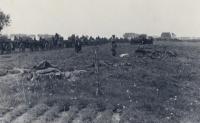 14. Duitse parachutisten en een Panzer II van de 9e pz. division in de buurt van de Tweede Tol tijdens de tweede wereldoorlog. thumbnail