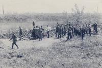 16. Nederlandse militairen bij veldgraven bij de Tweede Tol in Dordrecht tijdens de tweede wereldoorlog. thumbnail