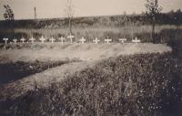 30. Nederlandse veldgraven bij de Tweede Tol in Dubbeldam in mei 1940. thumbnail