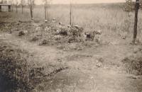 31. Nederlandse veldgraven bij de Tweede Tol in Dubbeldam in mei 1940. thumbnail