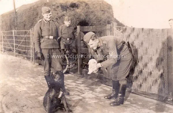 30. Met één van de hondjes bij de bruggen van Moerdijk in 1940/41. image
